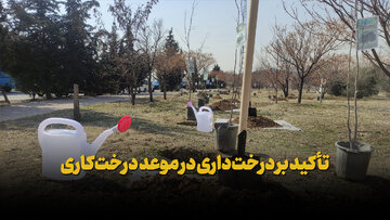 تأکید بر درخت‌داری در موعد درخت‌کاری