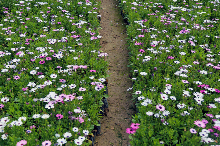 هوای آخر هفته سمنان/ موج گرما و تندبادهای لحظهای در راه است