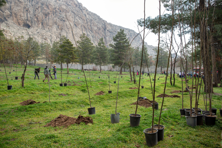 ۱۷ طرح آبخیزداری در استان اردبیل اجرا شد