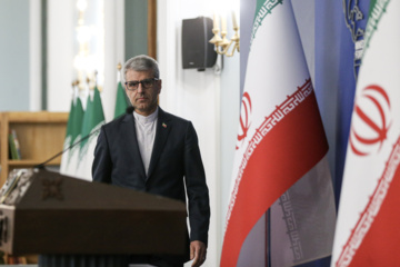 بقائی: پرچم ایران از میدان‌ جنگ تا عرصه‌ دیپلماسی، نماد استقلال و عدالت‌خواهی بوده است