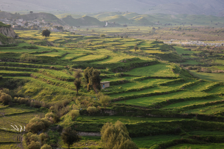 تصویر خبر