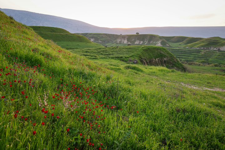 مراتع استان اردبیل در معرض تخریب