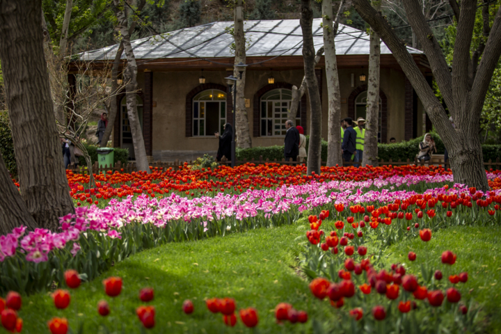 توانمندسازی منابع انسانی؛ موتور محرکه توسعه پایدار گردشگری البرز