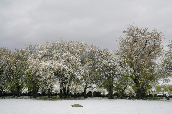 برف جای آتش را گرفت؛ «الیت» سفیدپوش شد