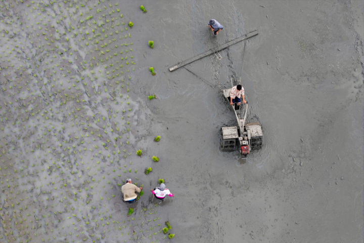 مدیریت منابع آبی آب‌بندان‌ها؛ راهکار اصولی برای مبارزه با خشکسالی در مازندران