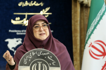 سخنگوی دولت: مجلس با رأی اعتماد به مدنی زاده به اقتصاد و اعتماد عمومی جان دوباره بدهد