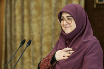 مهاجرانی: پایین بودن درآمدها دولت را مجبور به مداخله در اقتصاد می‌کند