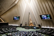 سخنگوی اصل نود مجلس: پرداخت تسهیلات ازدواج و فرزندآوری با چالش هایی مواجه است