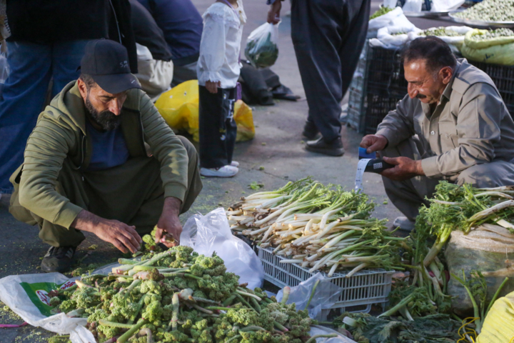 بهار برکت در سنندج؛ رونق بازار گیاهان خوراکی در دل سختیهای اقتصادی