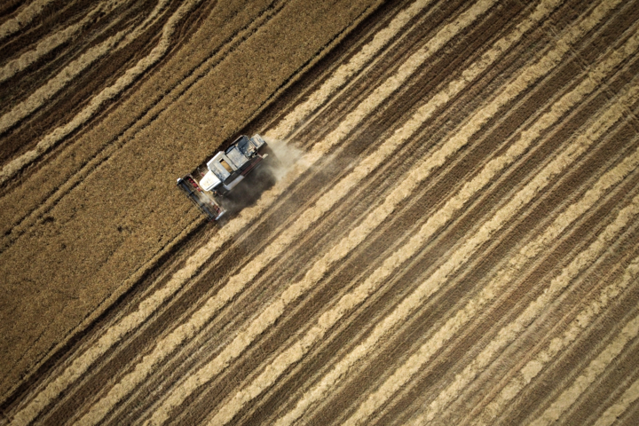 تاخیر در پرداخت پول گندمکاران قابل قبول نیست/ دولت منابع مطمئنتری اختصاص دهد