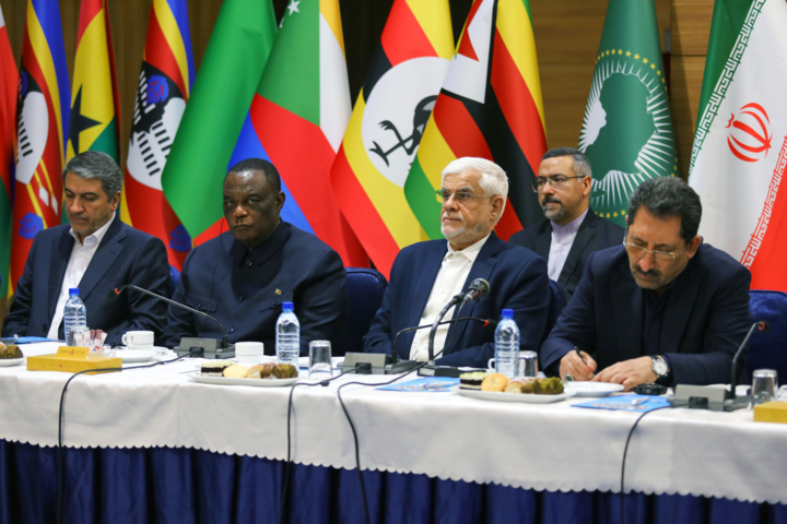 توسعه روابط با آفریقا، راهبرد دولت وفاق