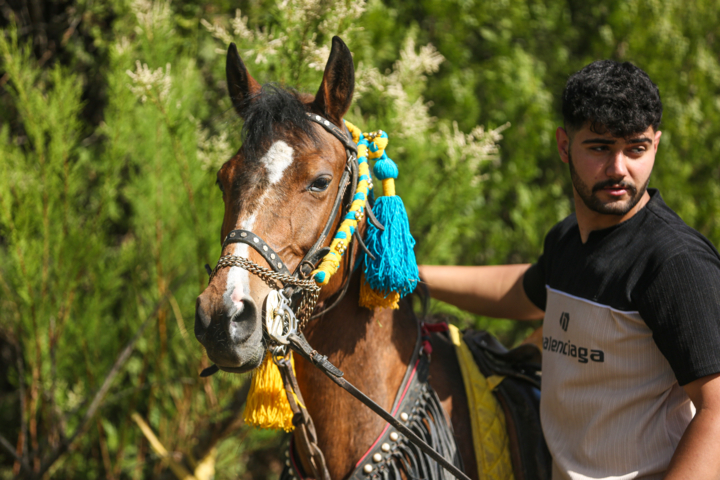 جشنواره «اسب کُردی» در سنندج