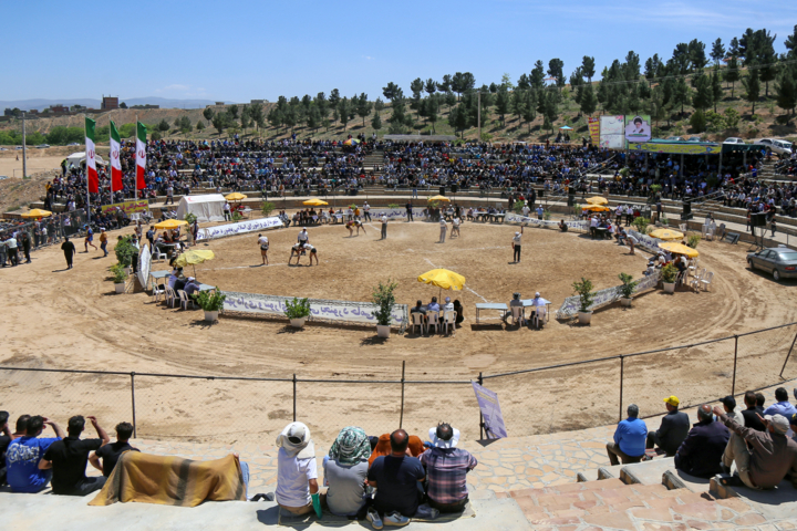 تکریم پهلوانان در دولت وفاق