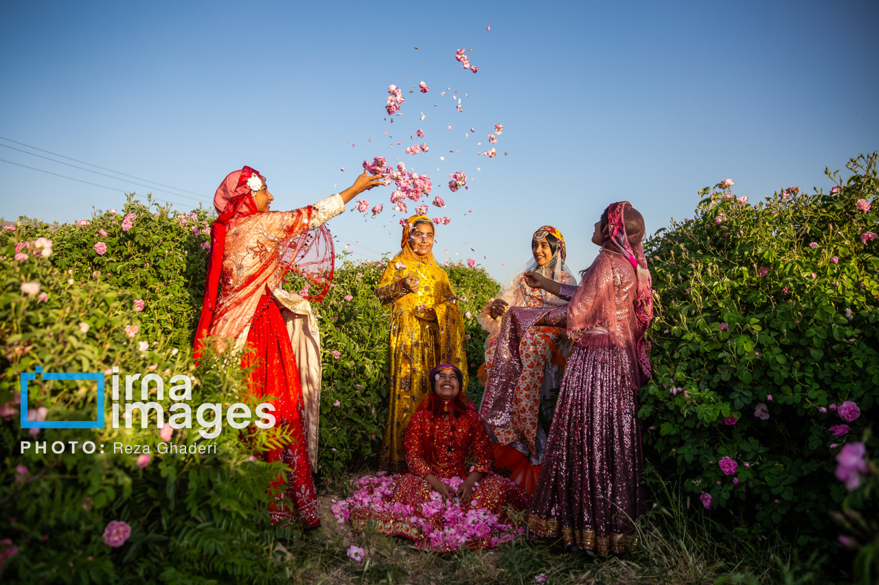 گلاب ایرانی پشت درِ یونسکو؛ چرا پرونده‌ای با ریشه‌ یکهزار ساله هنوز ثبت نشده است؟