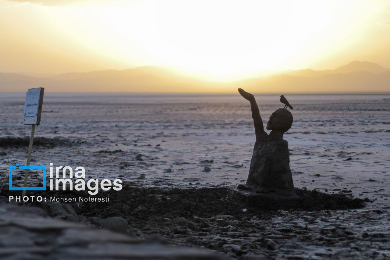 مهمانان سیبری در آغوش «کجی» مهمانان سیبری در آغوش «کجی»