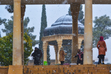 5 may; "Şiraz günü"
