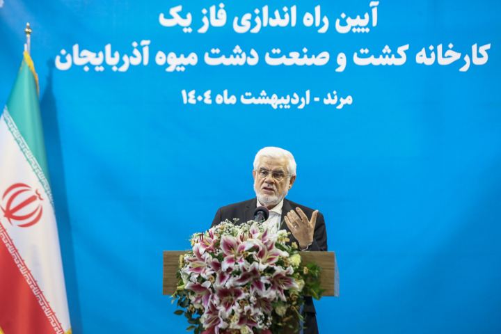 عارف: اجازه نمی‌دهیم موانعی بر سر راه تولیدکنندگان ایجاد شود