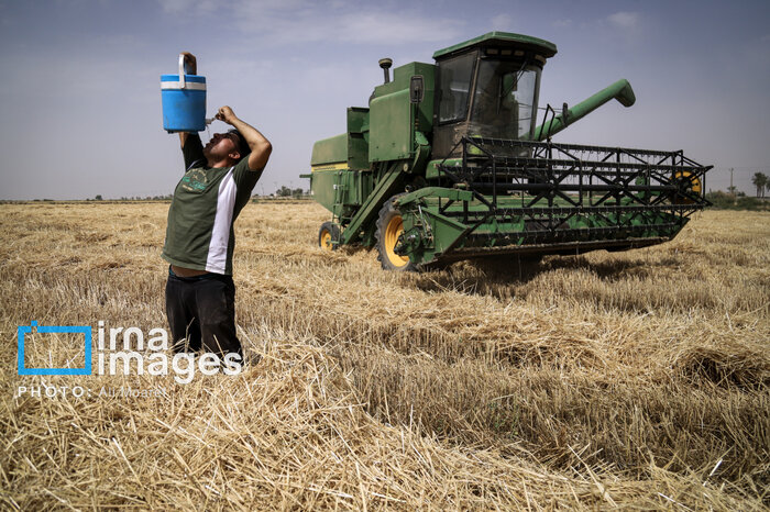 آغاز فصل جدید؛ خانه کارگر جنوب کرمان و پایان یک «بیپشتوانگی» تاریخی