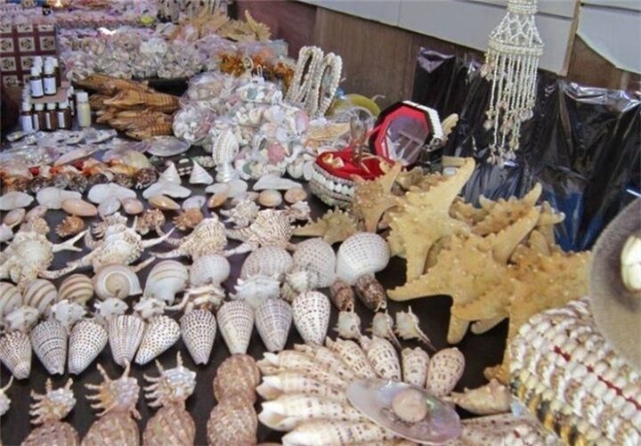 نمایشگاه صنایع‌دستی «سفامه» در بوشهر گشایش یافت