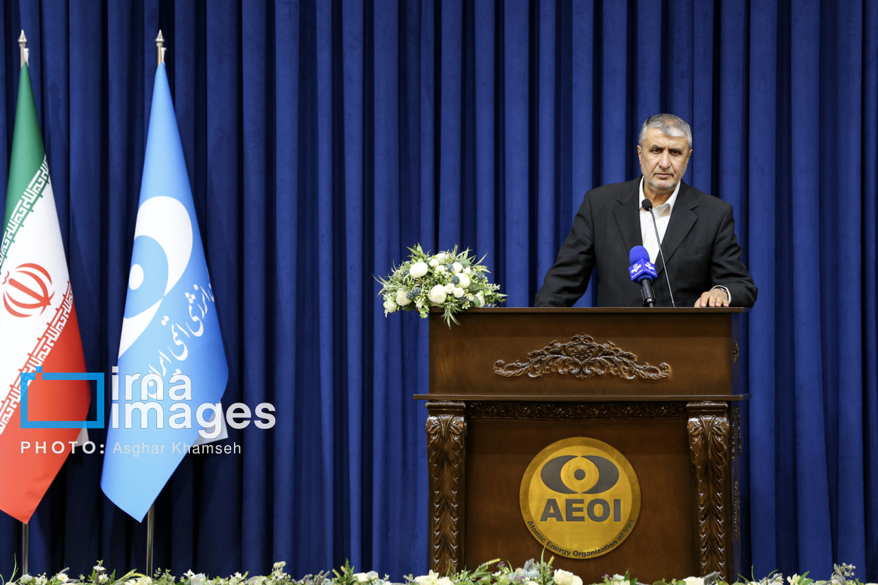 رئیس سازمان انرژی اتمی:‌کارآمدی دولت در گرو تعامل مستمر بین دستگاه‌های اجرایی است