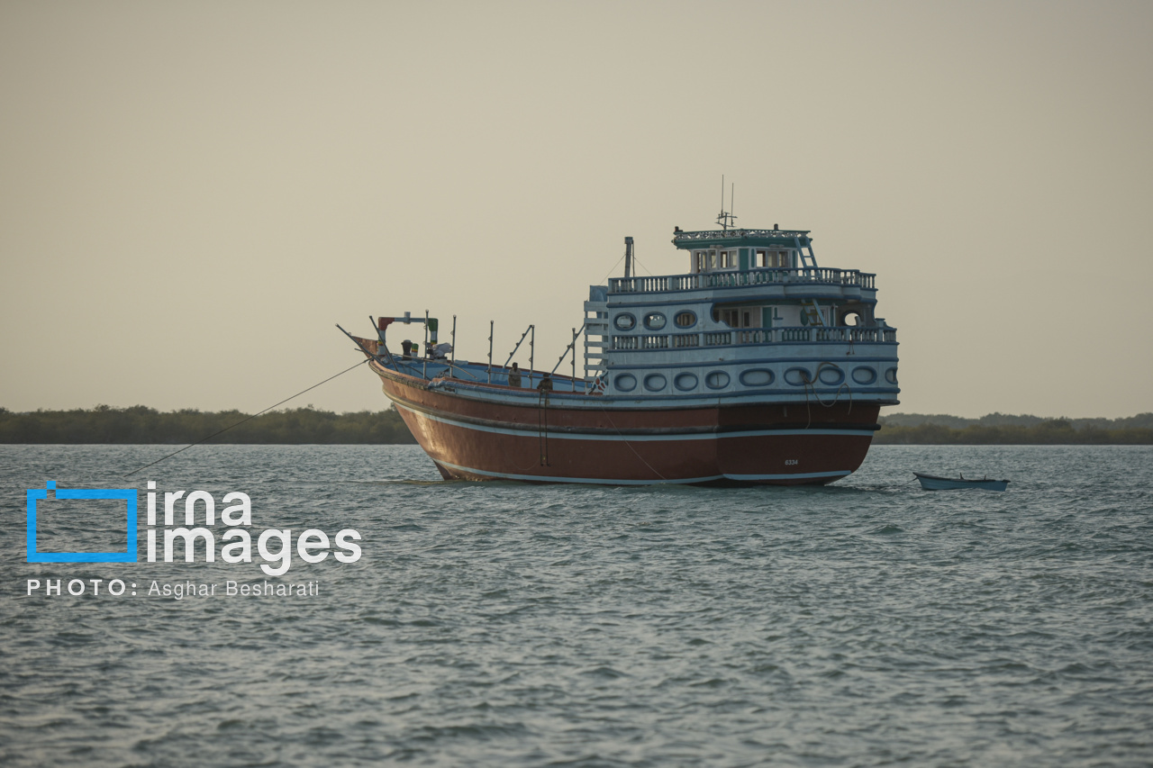 توقیف پنج شناور و کشف محموله بزرگ کالای ممنوعه در آبهای بندرعباس