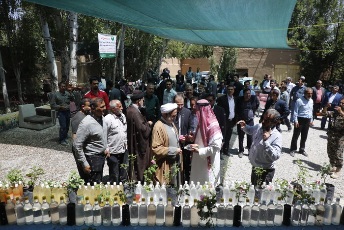 مراسم گلابگیری کاشان: جشنی از عطر و رنگ در دل بهار