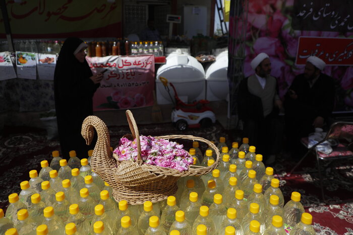 مراسم گلابگیری کاشان: جشنی از عطر و رنگ در دل بهار
