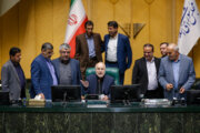 نماینده مجلس: شرایط امروز کشور نیازمند همدلی و همکاری همه قوا است