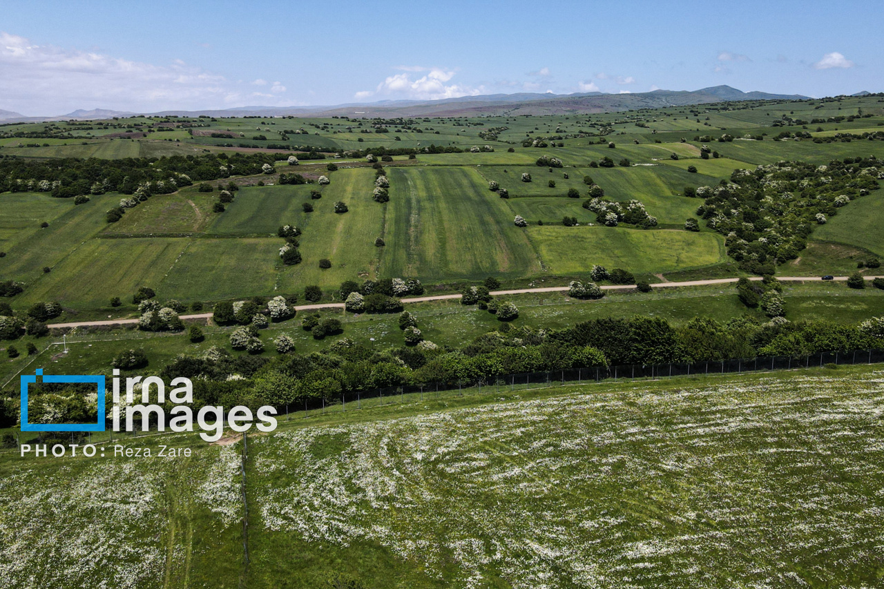 تمامی مجوزهای زمینمحور باید از سامانه «پنجره واحد مدیریت زمین» صادر شود