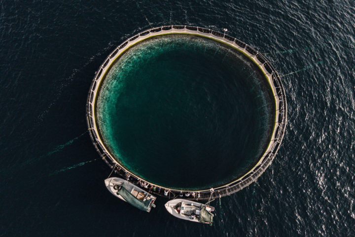 سرمایه‌گذاری در قشم؛ چشم‌انداز نوین اقتصاد ایران در کانون آبراه‌های جهانی