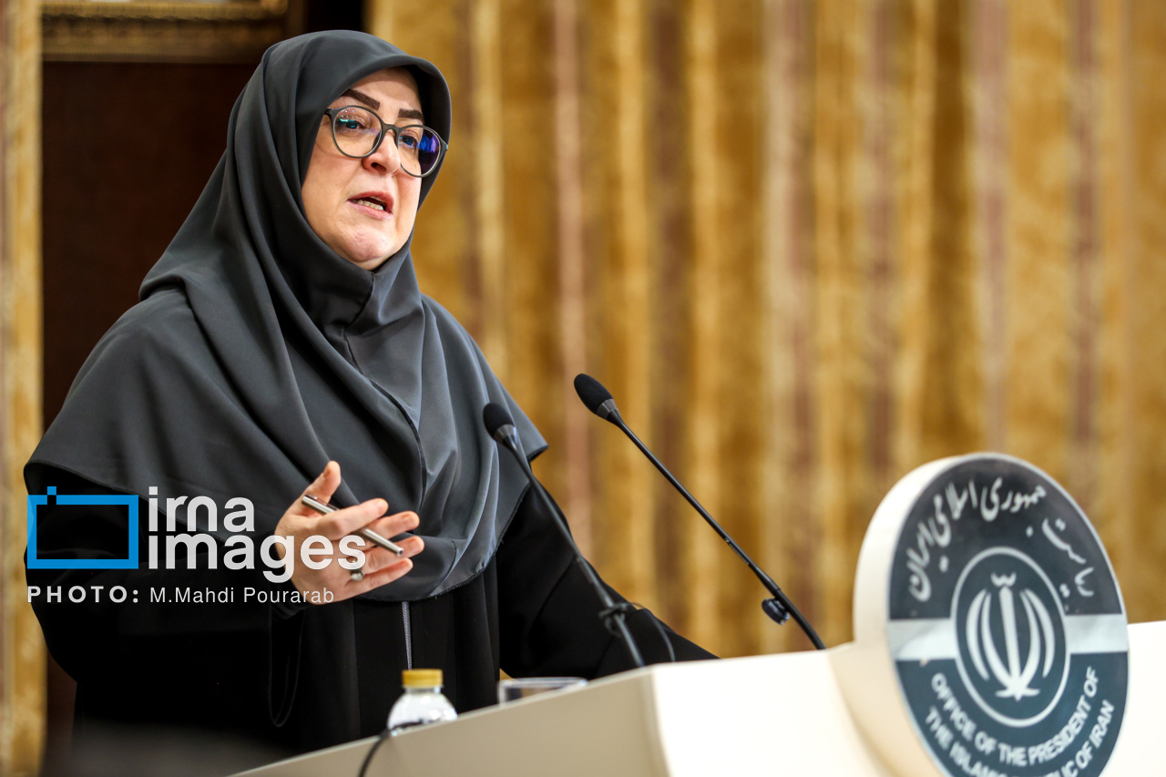 مهاجرانی: واردات خودرو در جلسه هیات دولت تصویب شد