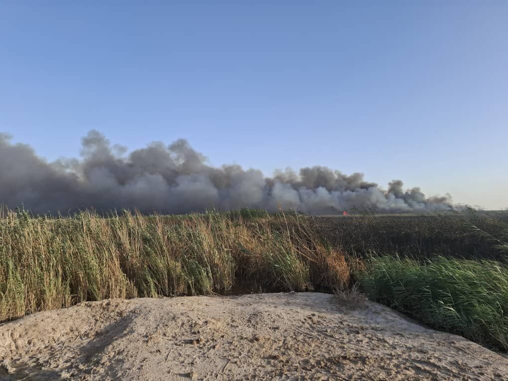 دود سیاه آسمان قم، ناشی از سوزاندان ضایعات در حاشیه نیزار است