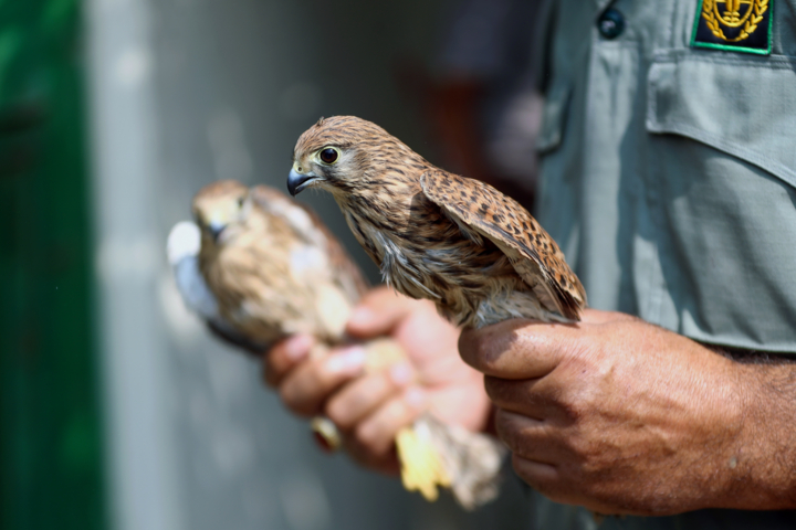 محیط زیستی حیاتبخش با رویکردی جدید در کرمان