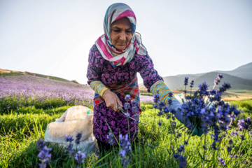 مزرعه گردشگری «سبزینه»