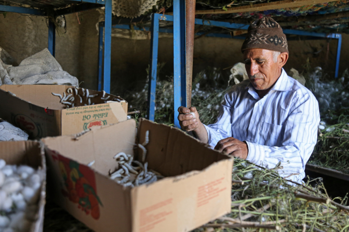 توانمندسازی ۳ هزار مددجوی کمیته امداد با آموزش مهارتهای اشتغال