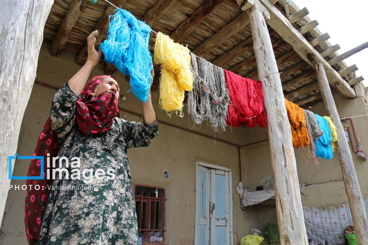 توسعه پوشش بیمه ای جامعه هدف برنامه ملی تامین مالی خرد