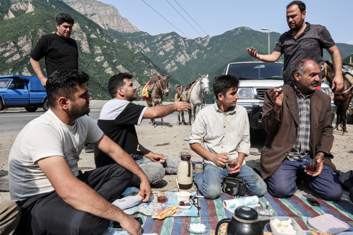 «جاده چالوس»؛ گذرگاه بهاری عشایر