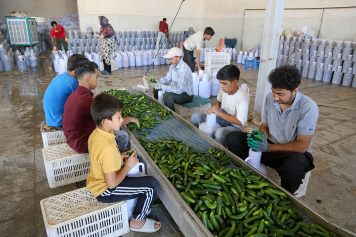 روستا بازار