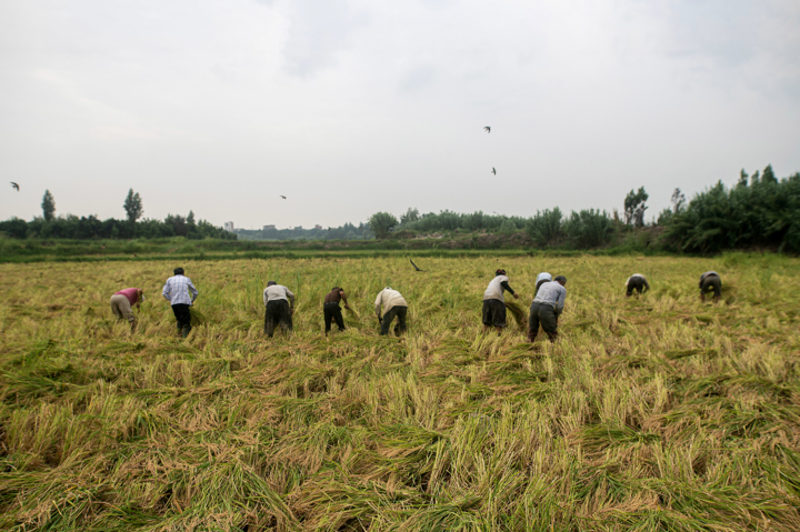 سفر رئیسجمهور و سرفصلهایی از اولویتهای مازندران