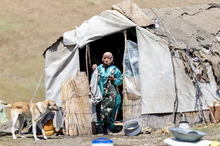 قاب زندگی/ کوچ عشایر قاراداغ؛ سفر جاودانه انسان و طبیعت