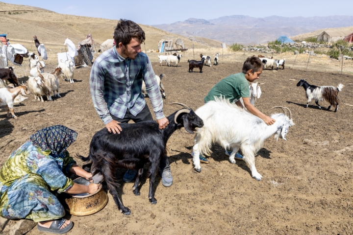 قاب زندگی/ کوچ عشایر قاراداغ؛ سفر جاودانه انسان و طبیعت