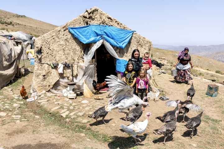 قاب زندگی/ کوچ عشایر قاراداغ؛ سفر جاودانه انسان و طبیعت