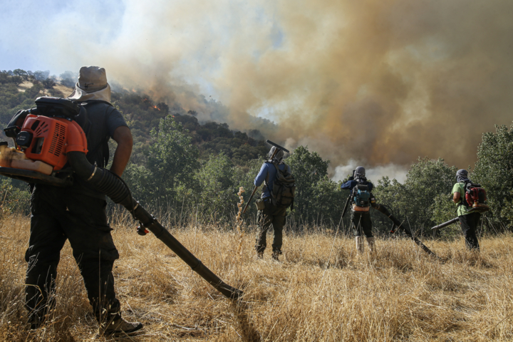 عملیات اطفای آتش در الیت به مرحله پایانی رسید