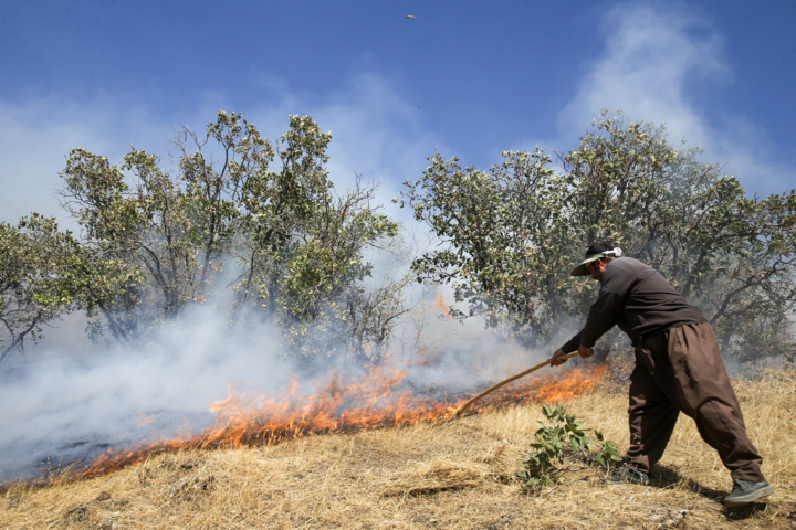 استاندار مازندران: هواپیما ایلوشن و ۶ بالگرد برای مهار آتشسوزی جنگل الیت آماده شد