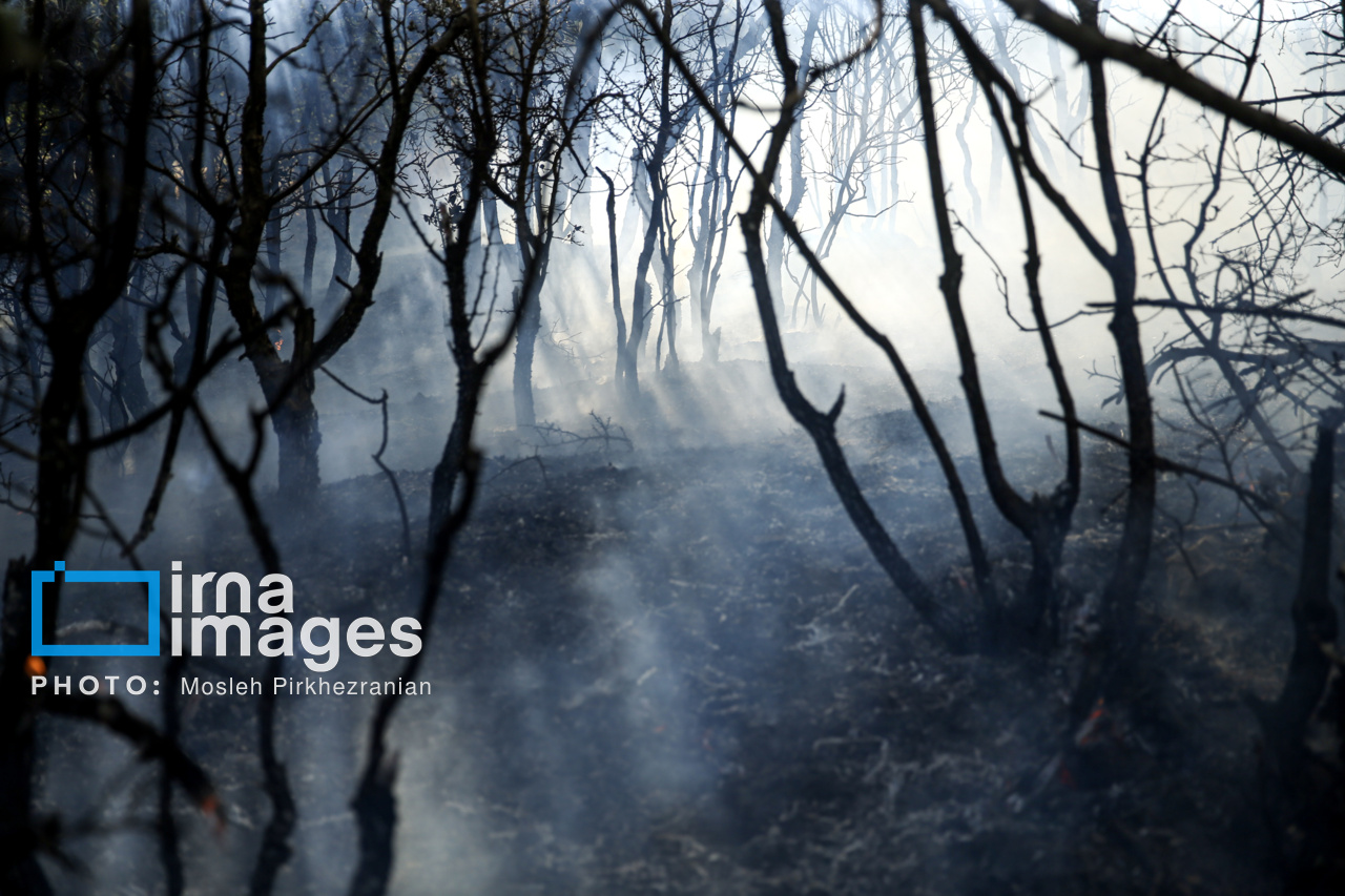 شروع بارش باران و امیدواری خاموشی آتش جنگل‌های چالوس