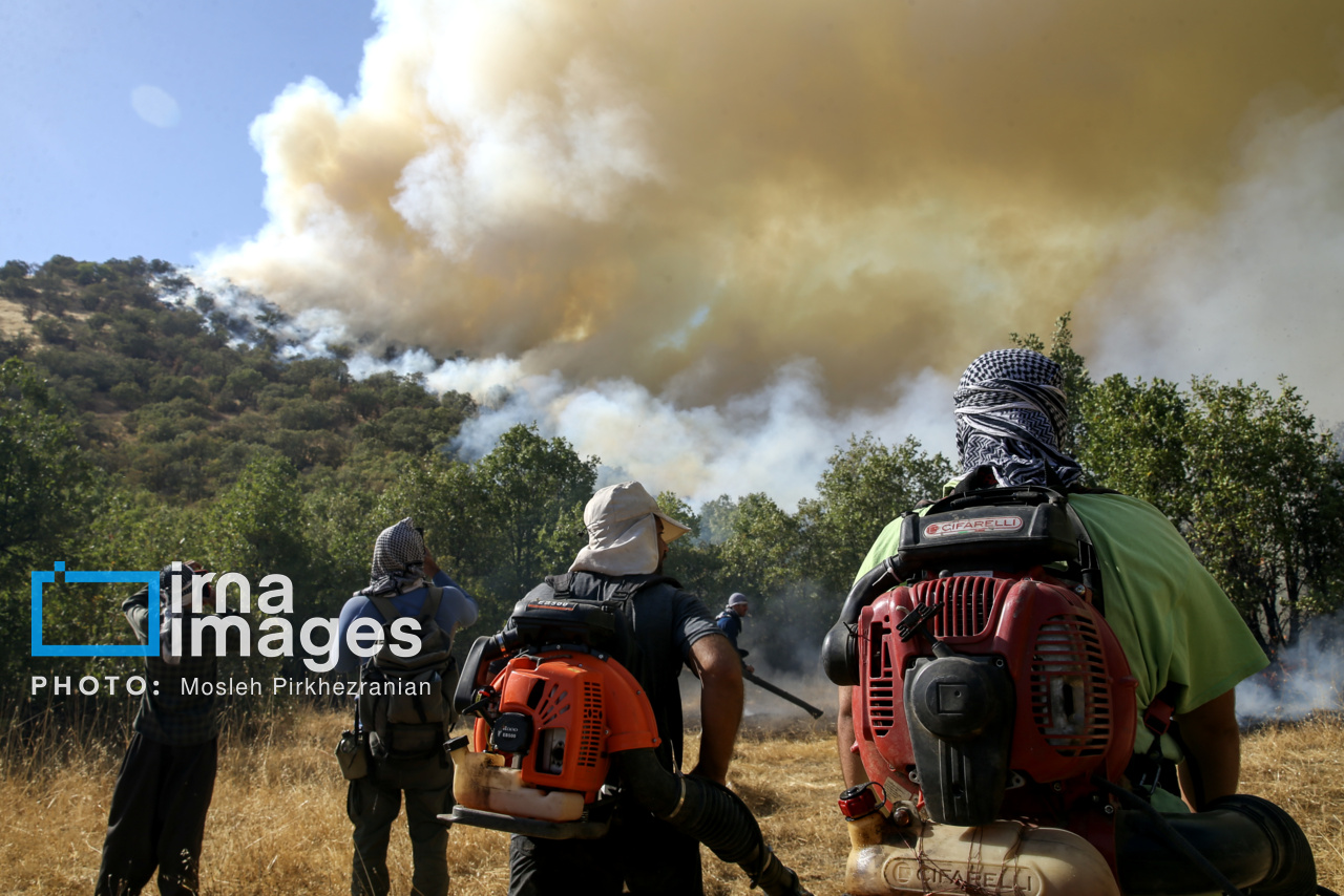 «الیت» تنها نیست +‌فیلم