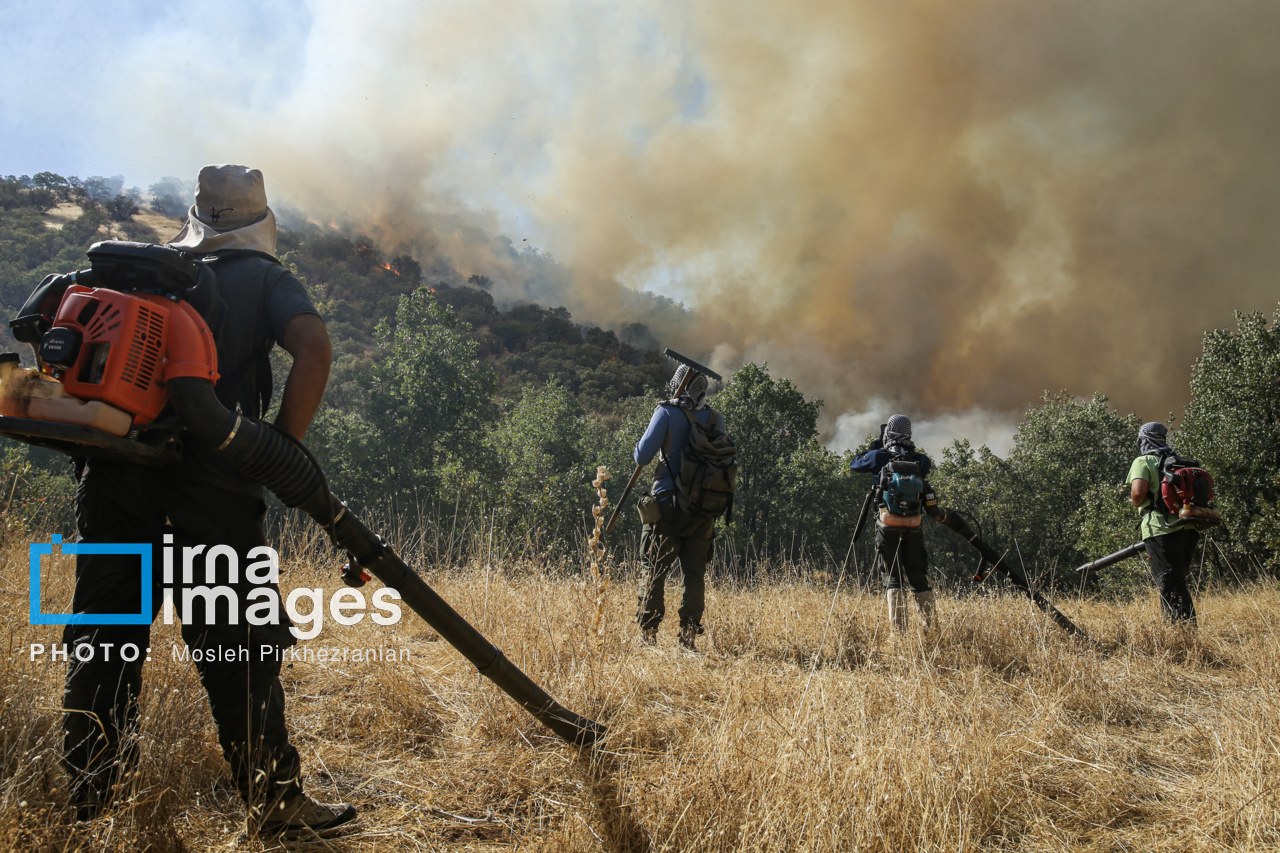 علت تاخیر در مهار آتش‌سوزی جنگل‌های الیت وزش باد است