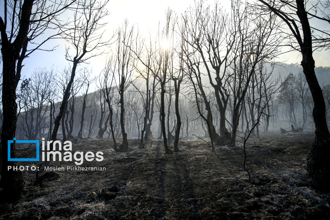 آتشسوزی جنگلهای «خیبوس» مازندران مهار شد
