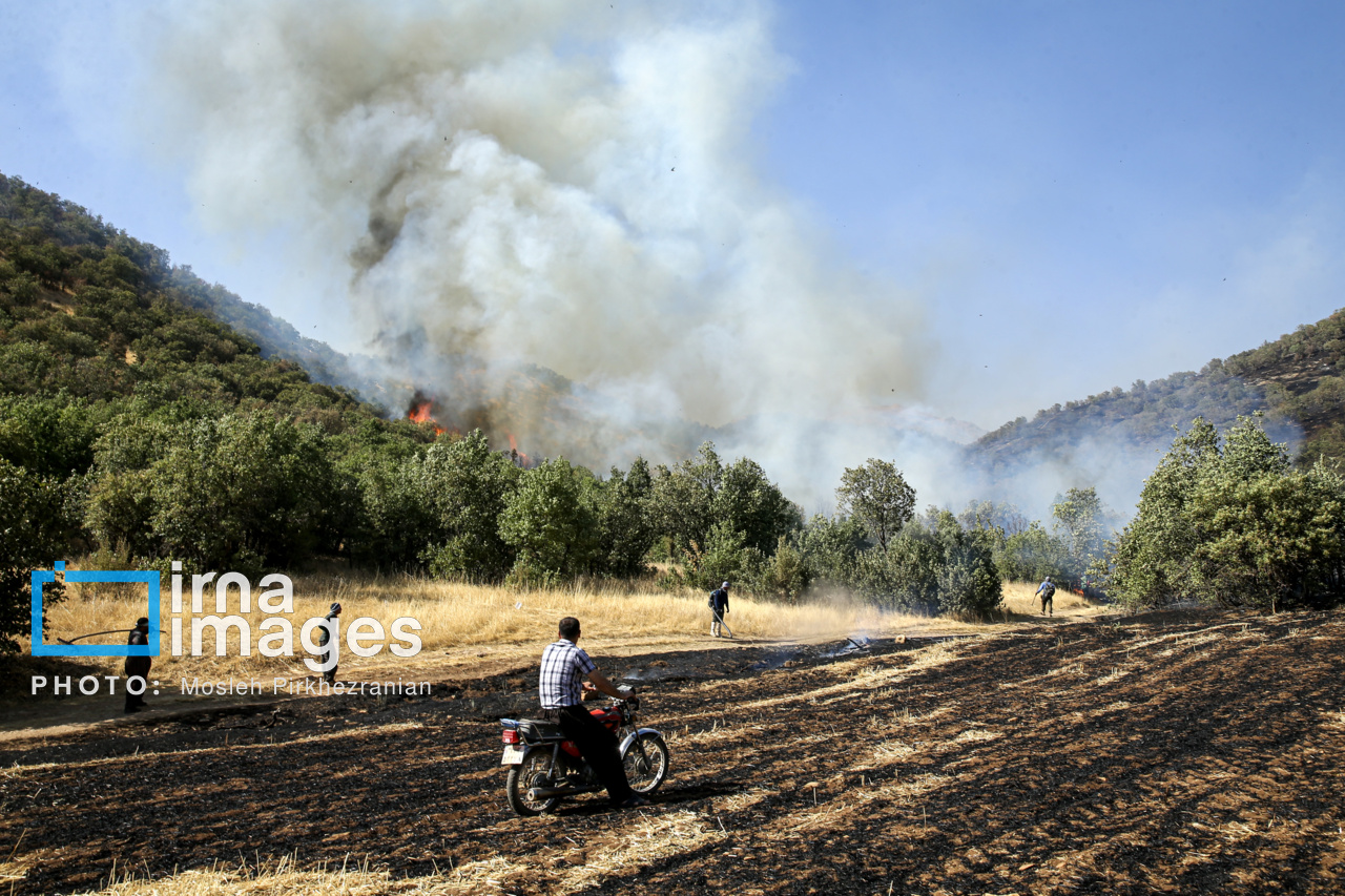 مدیرکل منابع طبیعی مازندران: تصاویر شفاف و بدون دود منطقه بیانگر کنترل حریق در الیت است
