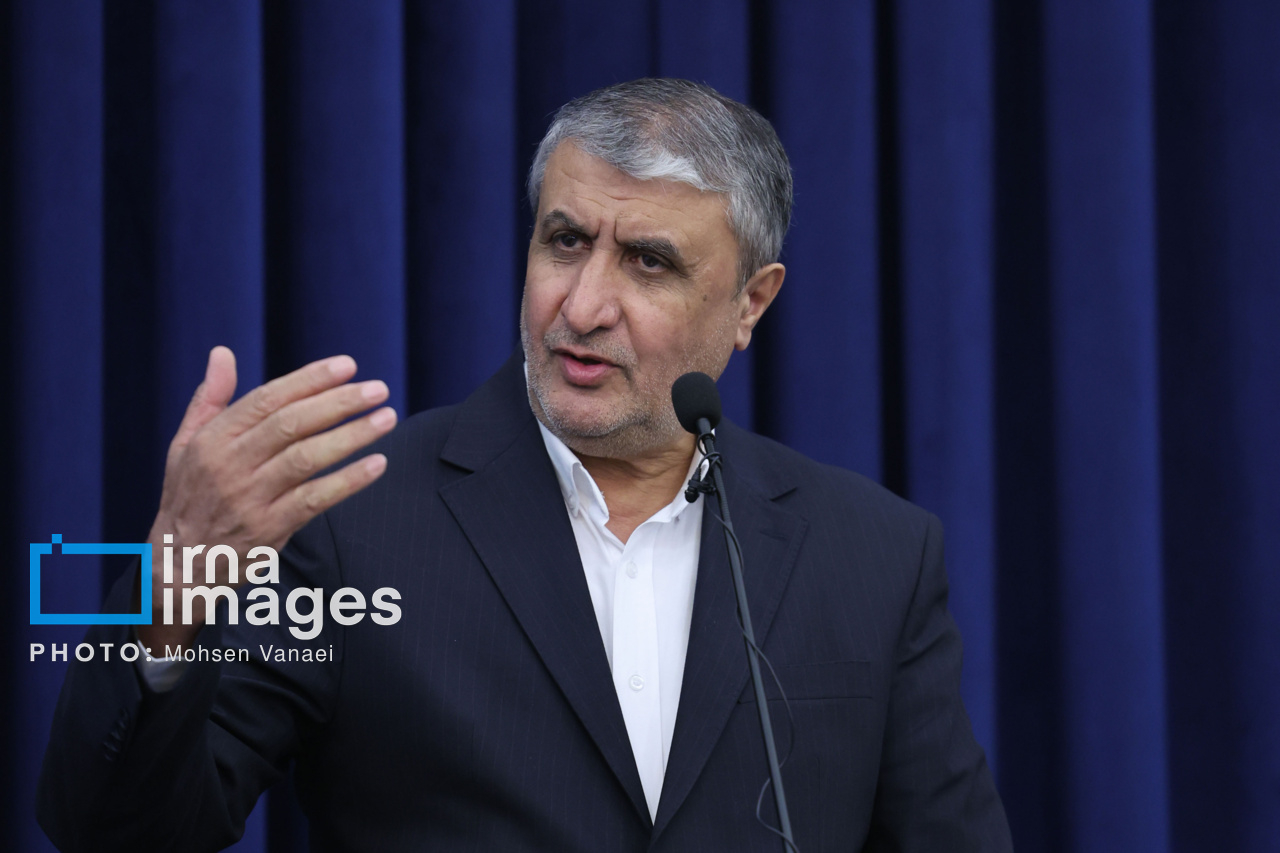 مساعد رئيس الجمهورية : معايير الوكالة الدولیة للطاقة الذریة مزدوجة مساعد رئيس الجمهورية : معايير الوكالة الدولیة للطاقة الذریة مزدوجة